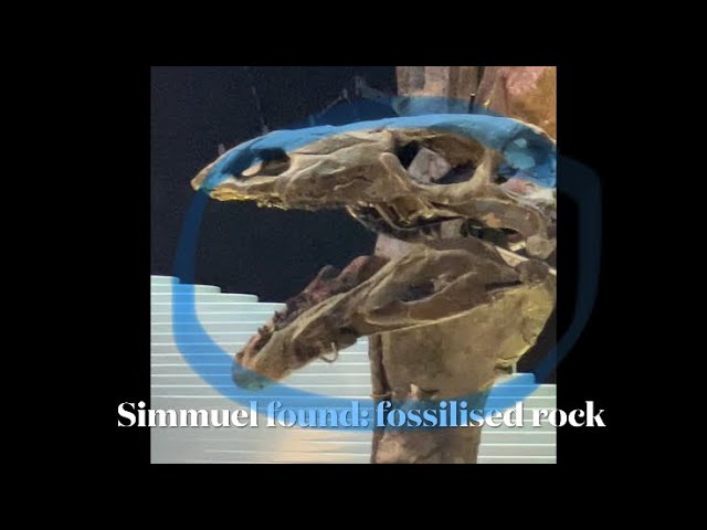 The NHM is scary (proven) #simmuelinbritain