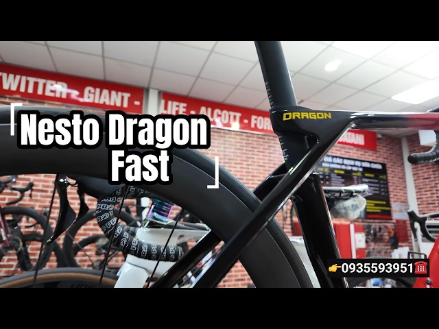 Nesto Dragon Fast discounted by 2 million VND for Mr. and Mrs. Luong #xedaptanphu