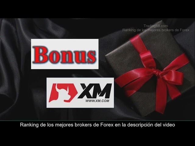 ¿Cuál es el mejor bróker de Forex para principiantes? [0202]