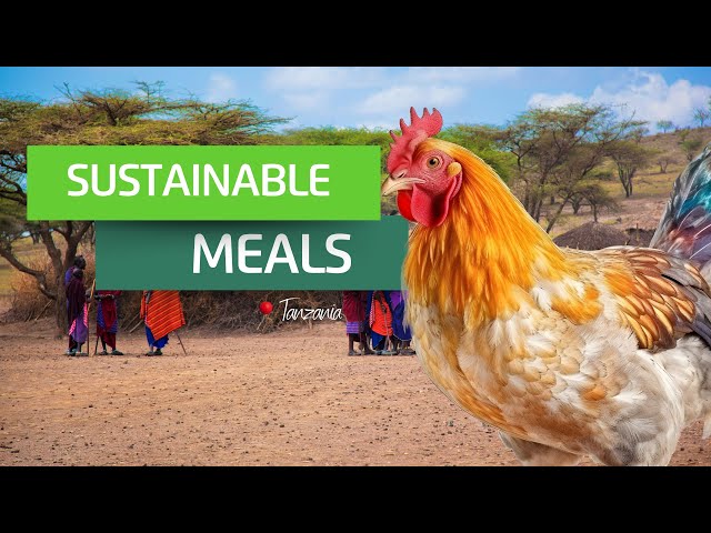 Sustainable Meals for our Maasai School | Projects Abroad