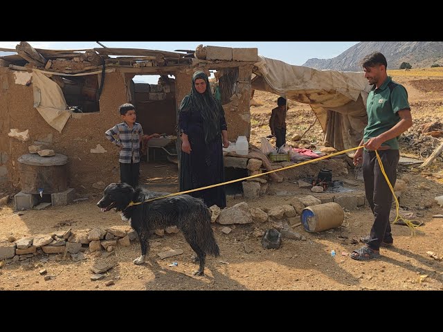 🐕‍🦺🤗 Babak's Happiness After Finding Khersi & Rewarding the Village Family 🏡❤️