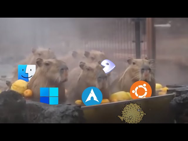 Another (Mostly) Linux Slander Meme