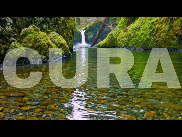Inexplicable Por qué Esta Música Cura a la Gente | Para Relajarse | Sonidos de la Naturaleza #1