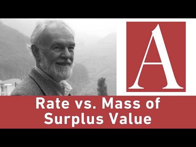 Anti-Capitalist Chronicles: Rate vs. Mass of Surplus Value