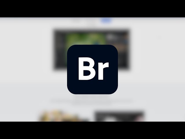 Beginner's Guide to Adobe Bridge