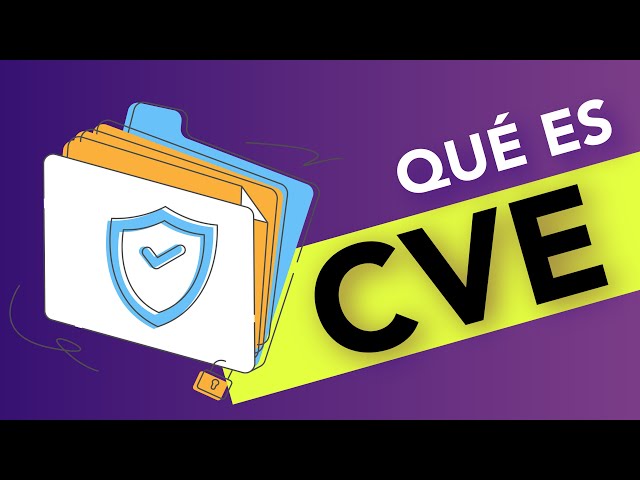 What Is a CVE?