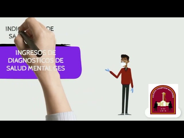 PROGRAMA DE SALUD MENTAL INTEGRAL EN ATENCIÒN PRIMARIA DE SALUD PROSAM LOTA