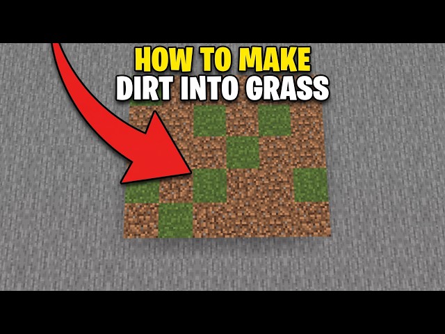 How To Make Dirt Into Grass In Minecraft