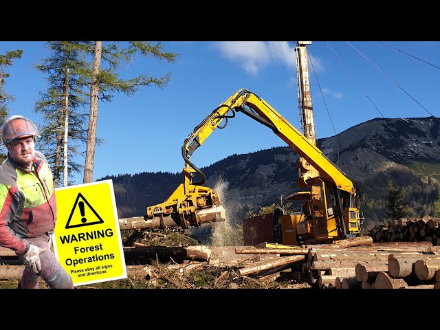 Logging in mountain forests a demanding and dangerous job! Downhill with 'The Super Tower'  / TST