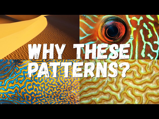 Simulating the Hidden Math Behind Nature's Patterns