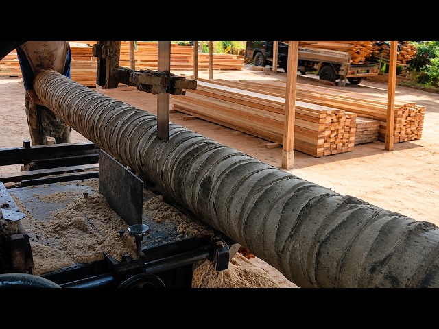 Unbelievable Coconut Log Processing Massive Timber Production