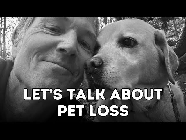 Struggling with Pet Loss | 7 Steps to Help Cope