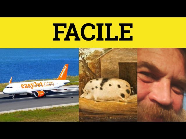🔵 Facile - Facile Meaning -Facile Examples - Autoantonyms - Facile in a Sentence