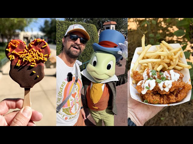 What's NEW At Disney's Hollywood Studios! | Rare Characters Are Out, NEW Snacks & Park Updates!