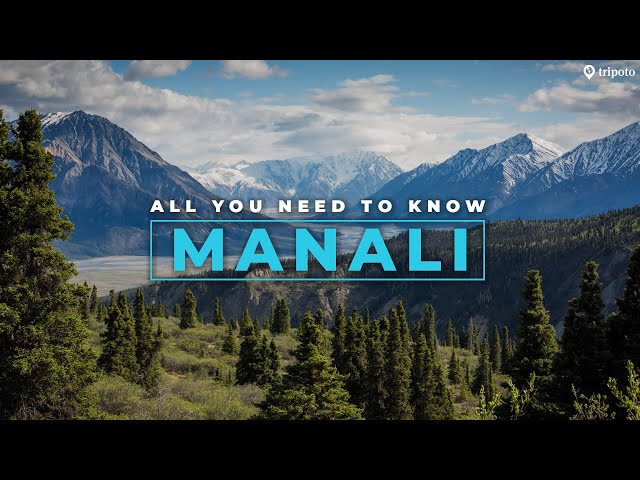 Plan The PERFECT Manali Trip | Manali Trip Cost | Things To Do In Manali | Manali Hotels | Tripoto
