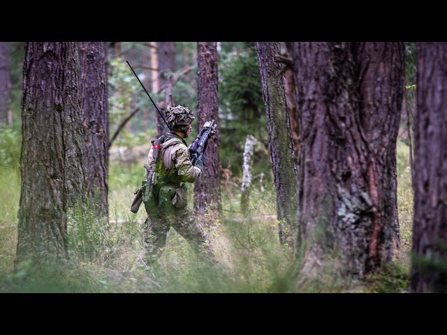 Skarpe skud i skoven