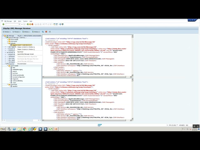 Xml validation in SAP PI - Day 10