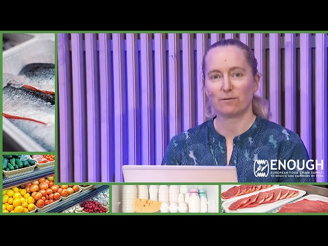 Sustainable Food Systems European Strategy Summit 2021 (Video Extract)