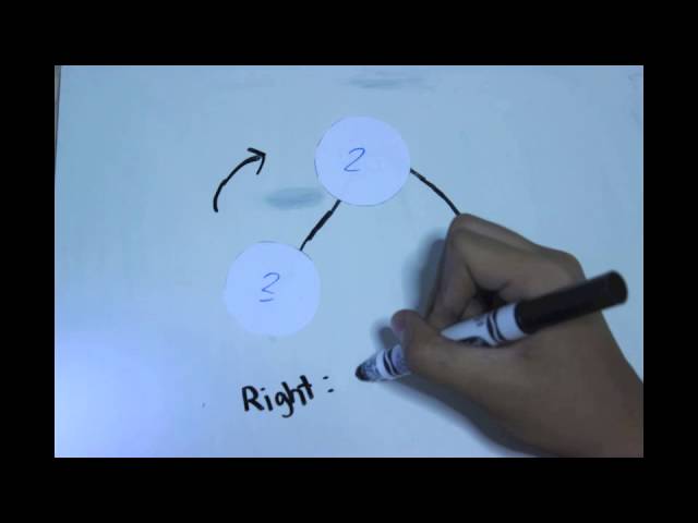 Insertion & Rotation of AVL Trees