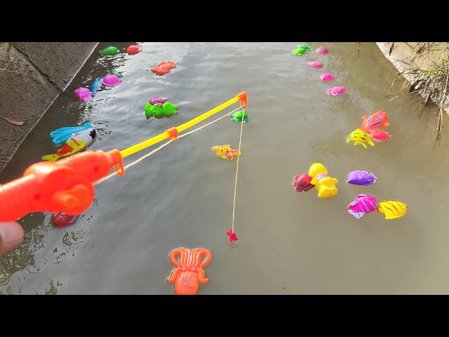Memancing Ikan Hias, Ikan Koi, Ikan Mas, Ikan Nemo, Ikan lele, Ikan marlin, Ikan Badut