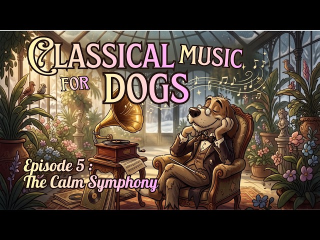 🎻 Classical Music for Dogs | Episode 5: The Calm Symphony 🐶 Deep Relaxation & Anxiety ReliefUntitled