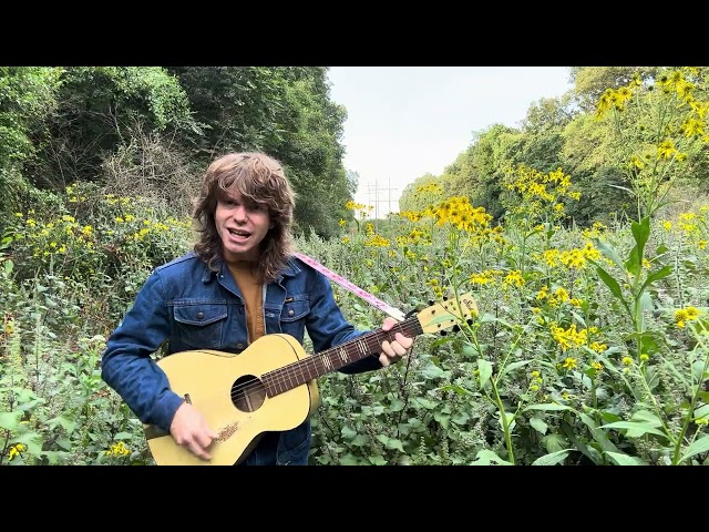 Who'll Stop The Rain