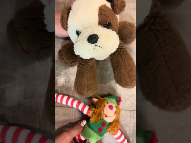 Ann shows oreo how to make mini colored pencils