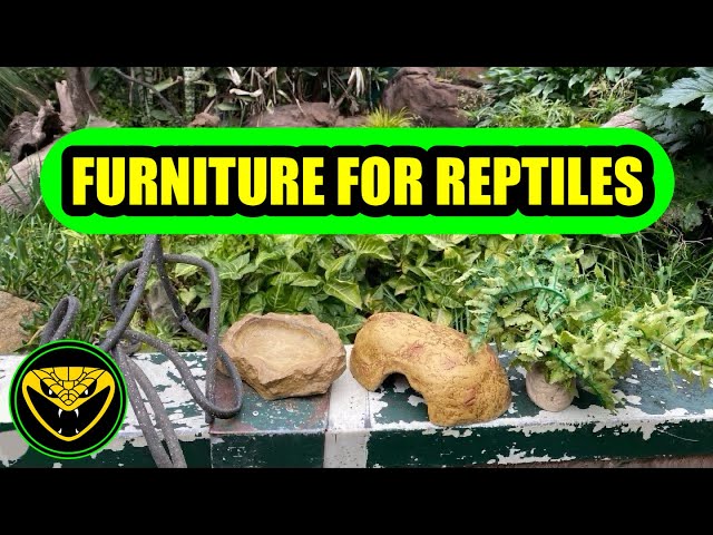 Reptile furniture | Camo’s Reptile’s