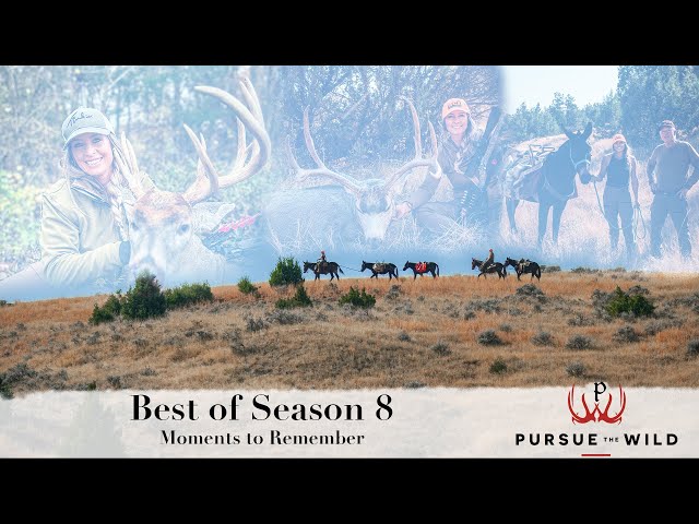 Best of Season 8 – Moments to Remember