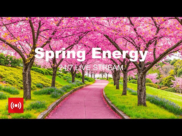 Spring Energy 2026 🌸 24/7 Live Stream 🌅☕ Happy Music to Start Your Day - Relaxing Chillout House