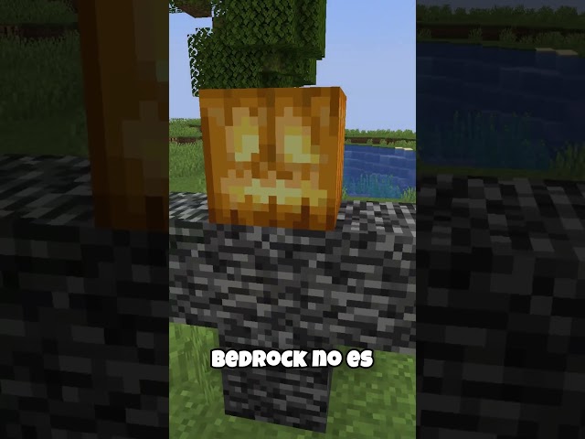 Las palabras prohibidas de Minecraft!