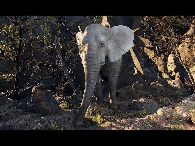 Elephant Encounter  (VR180)