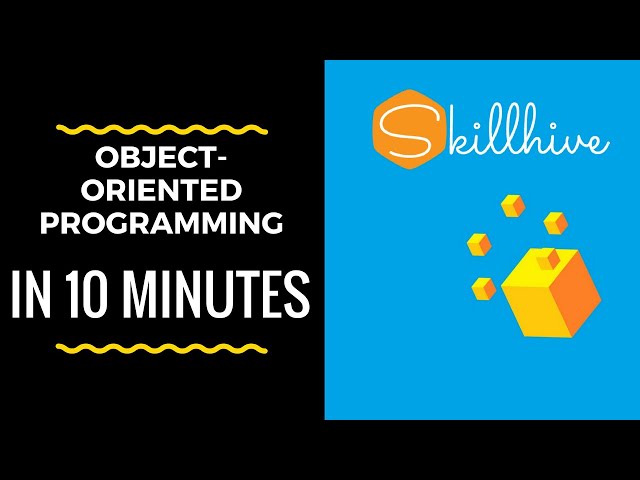 What is Object Oriented Programming (OOP) ? | Programming for beginners | SkillHive