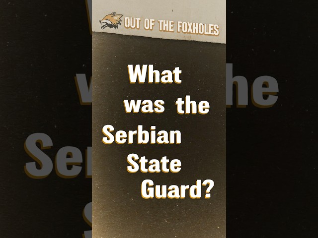 What Was the Serbian State Guard in WWII? #OOTF #shorts