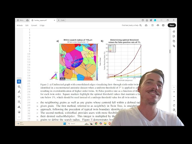 Twin Tree: 3D Twin Networks From a Single 2D EBSD Scan