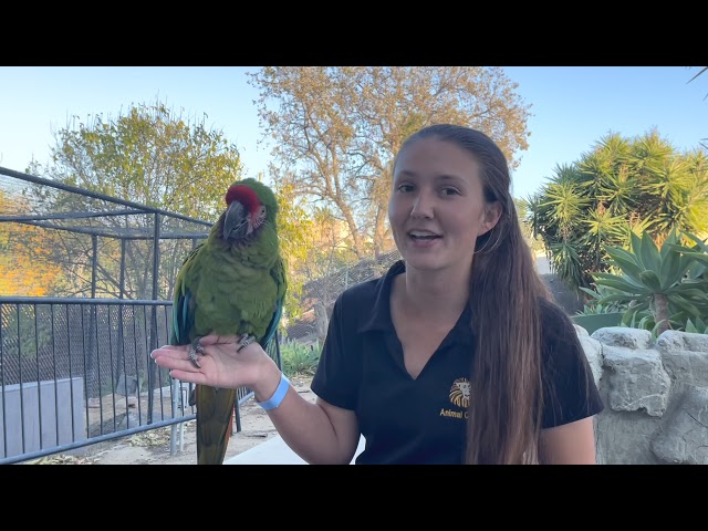 How To Be a Zookeeper!