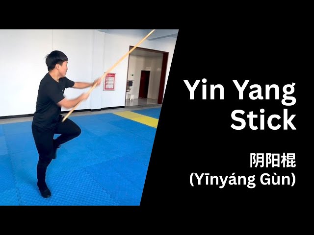 Yin Yang Stick - 阴阳棍
