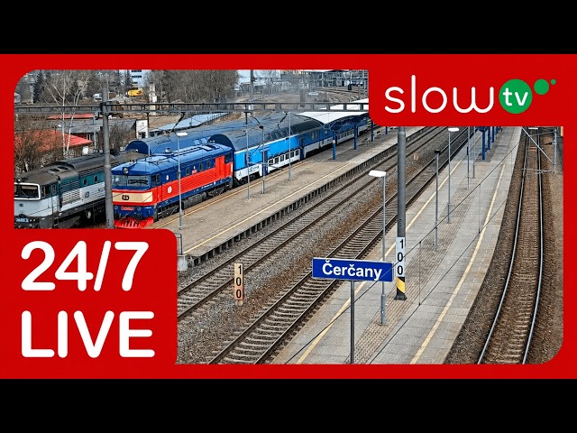 🔴 Live: Trains in Čerčany | 24/7 LIVE