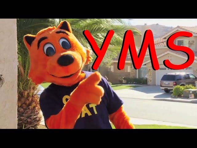 YMS: Cool Cat Saves the Kids (Part 1 of 2)