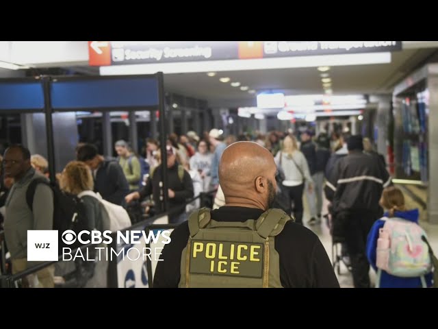 Johns Hopkins researcher's arrest one of at least a dozen by ICE at area airports