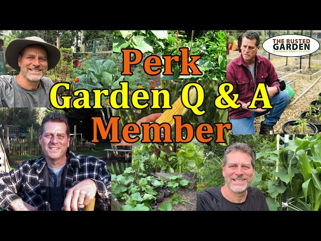 Building Compost Piles for Fall Leaves & More (E-217 Perk Garden Mentoring Questions & Answers)
