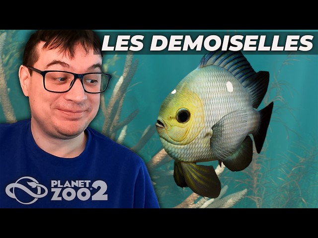 CE POISSON EST MERVEILLEUX, Zoopédie de PLANET ZOO 2 (avant dernière ?)