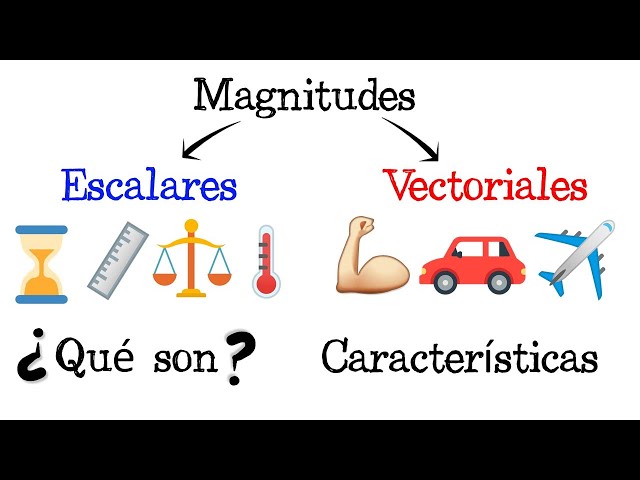 📏 Scalar Magnitudes and Vector Magnitudes 💡 EXAMPLES [Easy and Fast] | PHYSICS |