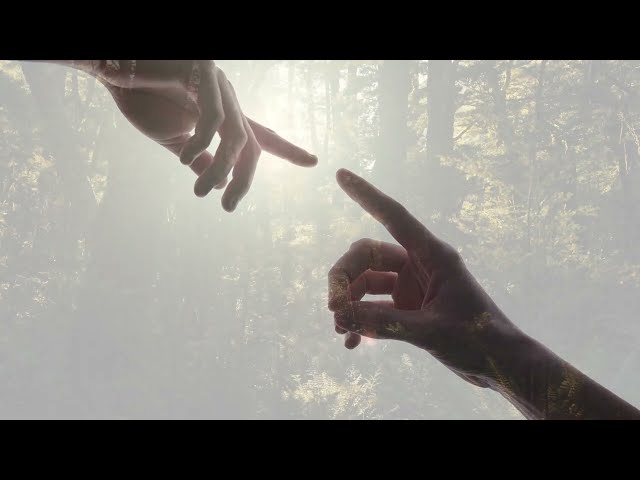Hanan Townshend - Grace (Official Visualization)