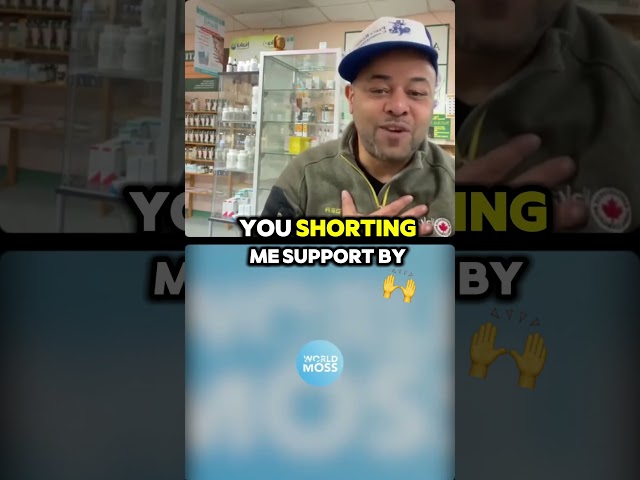 The Caribbean Sea Moss Industry  Insights and more