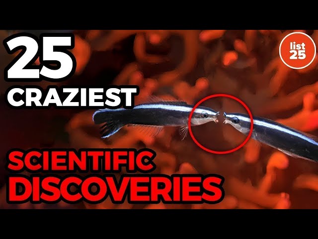 25 Craziest Scientific Discoveries You Missed In 2024