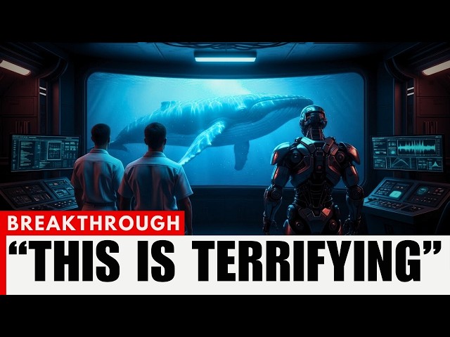 Scientists Just Decoded Whale Language Using AI... They’ve Been Talking About Us