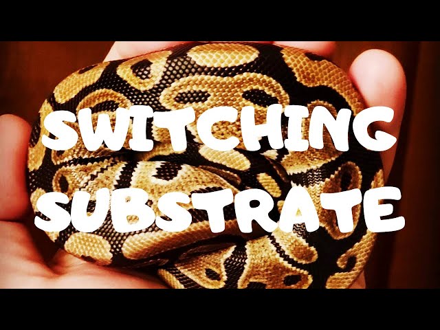 Switching Substrate