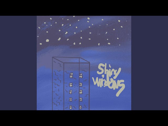 Shiny Windows