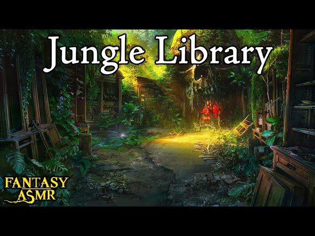 🌴 Jungle Library Ambience 📚 Ambience for studying and learning 💡